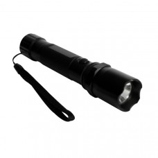 Flashlights / Head Lights